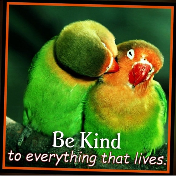 There is Power in the Name of Jesus to Break Every Chain that Binds You - Picture 3 of 10